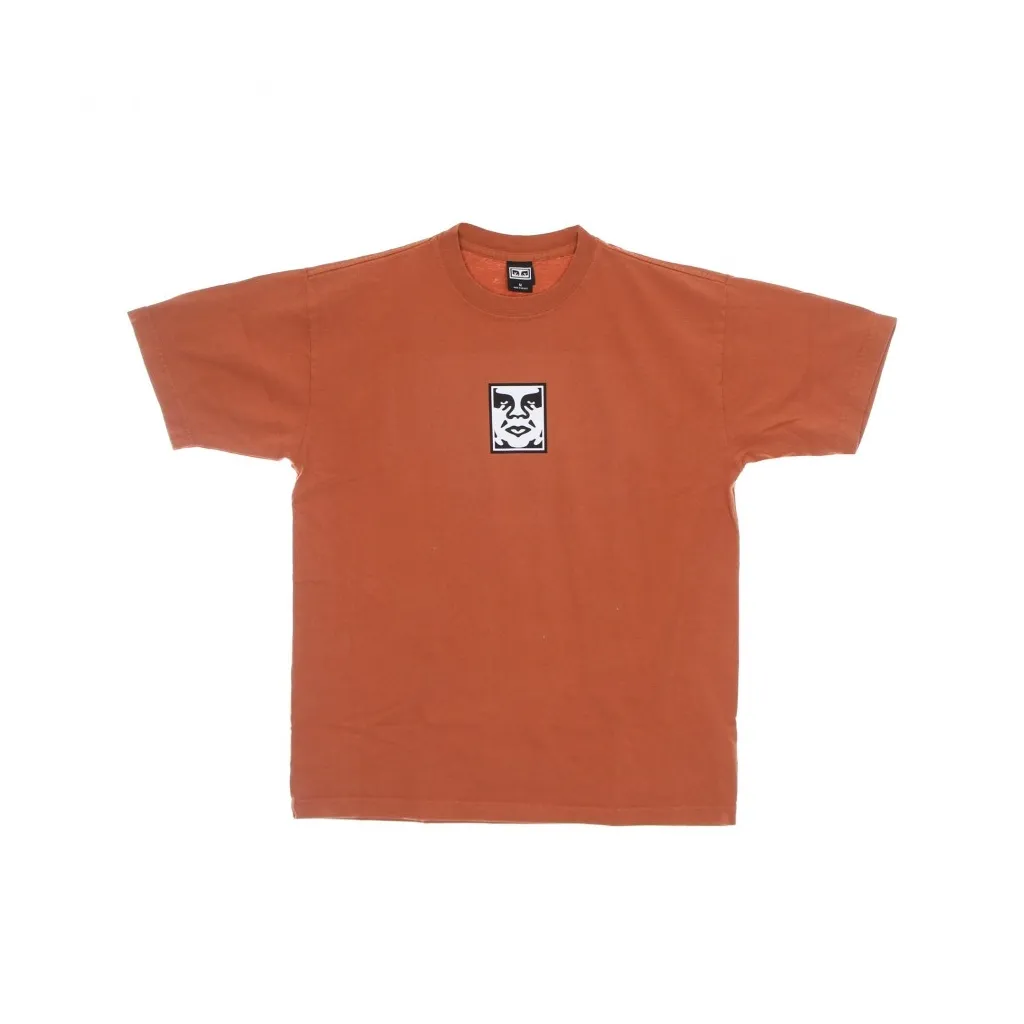 maglietta uomo icon heavyweight tee GINGER